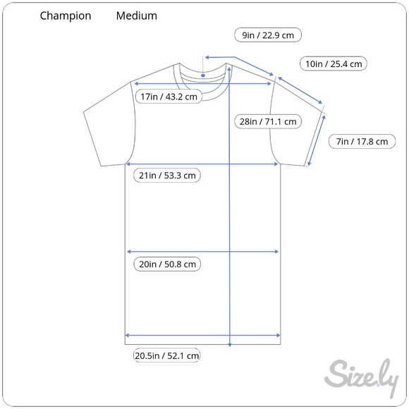 Champion Gray Short-Sleeve T-Shirt Medium Logo Print Activewear NWT - Picture 2 of 4